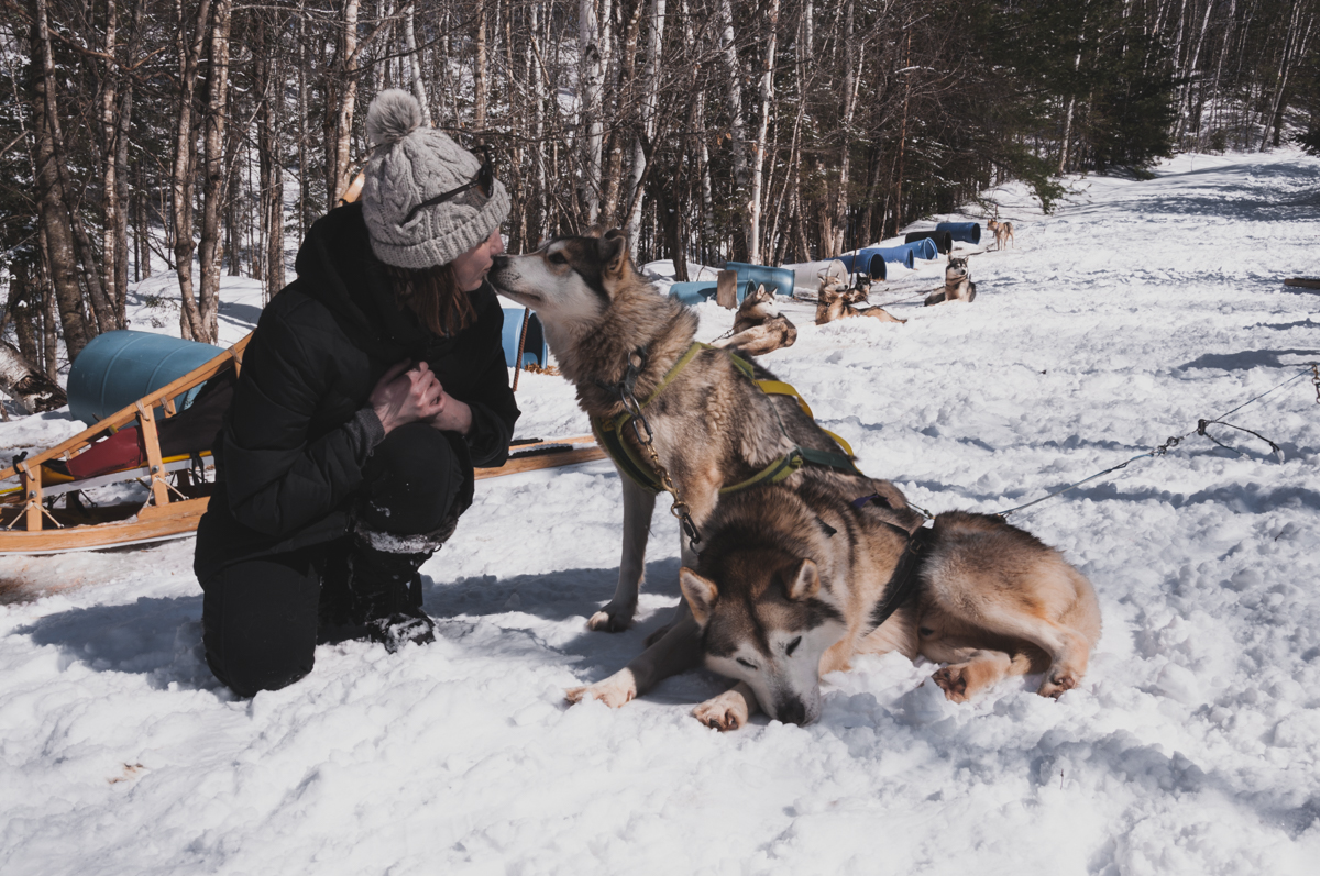 On se transforme en apprenti Musher !